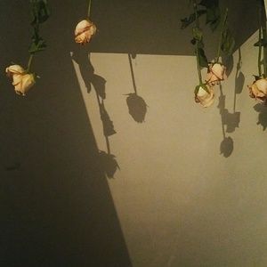 Meet your Posher, Marley